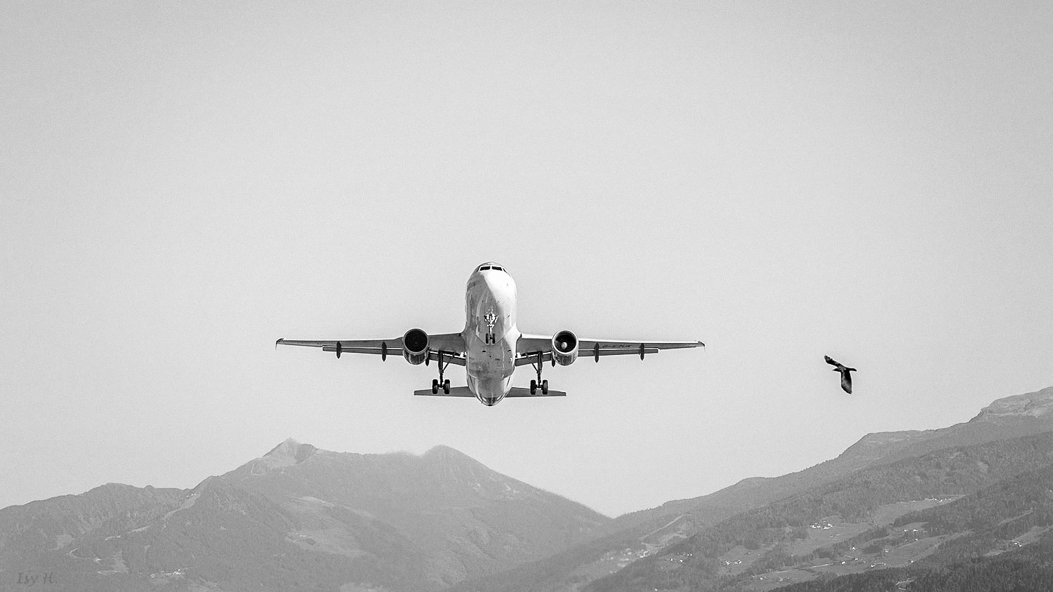 Sie fliegen wieder...... 