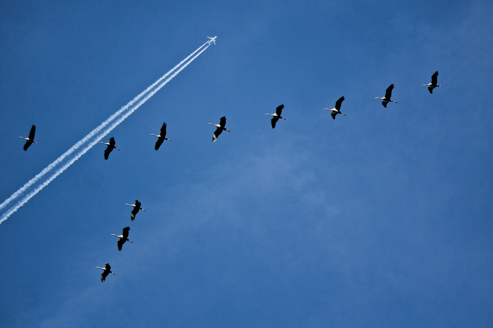 Sie fliegen wieder!