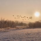 sie fliegen zur SONNE