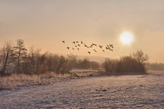 sie fliegen zur SONNE