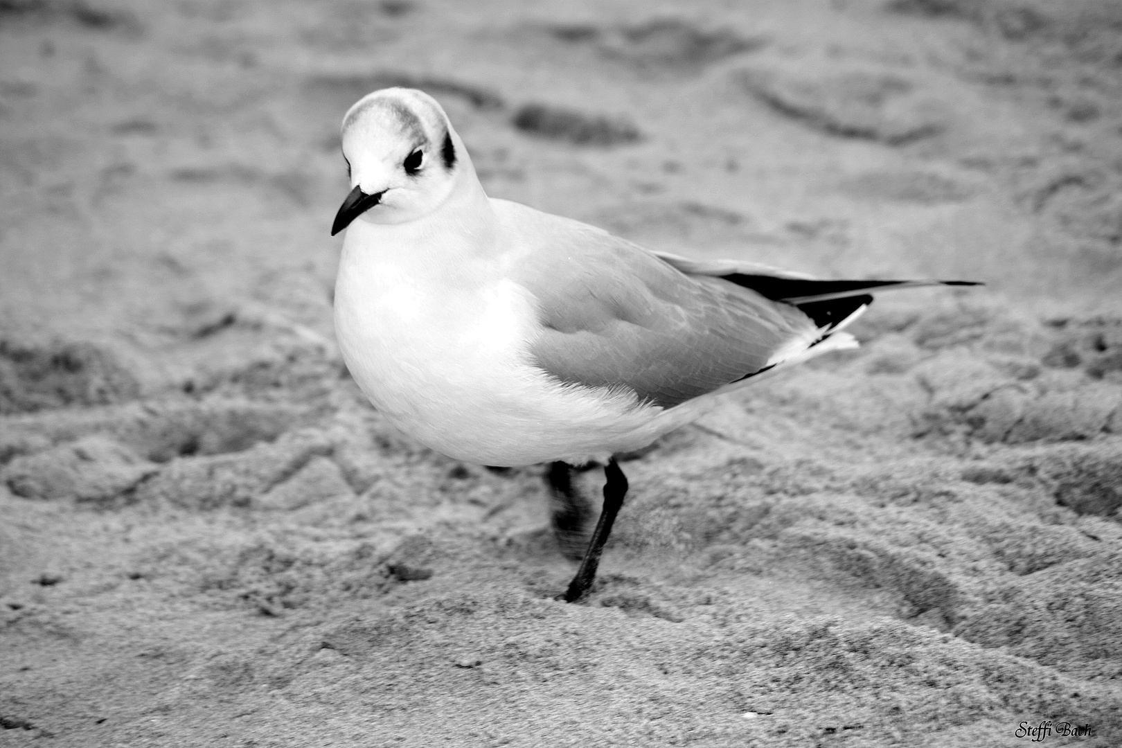 sie geht am Strand spazieren