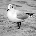 sie geht am Strand spazieren