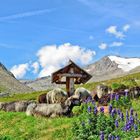 sie geniessen den Bergsommer auf 2500m