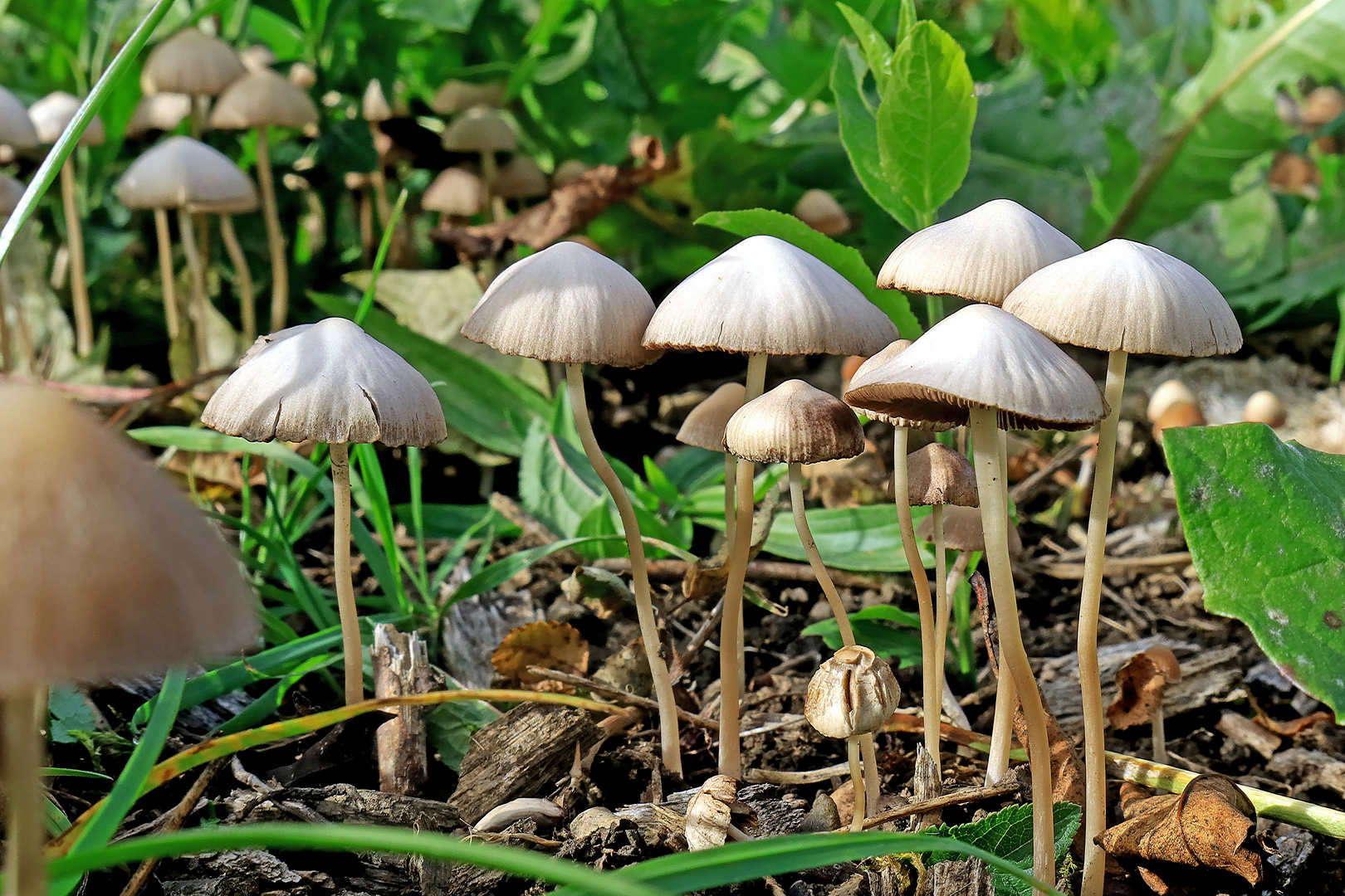 Sie genossen die letzte Herbstsonne