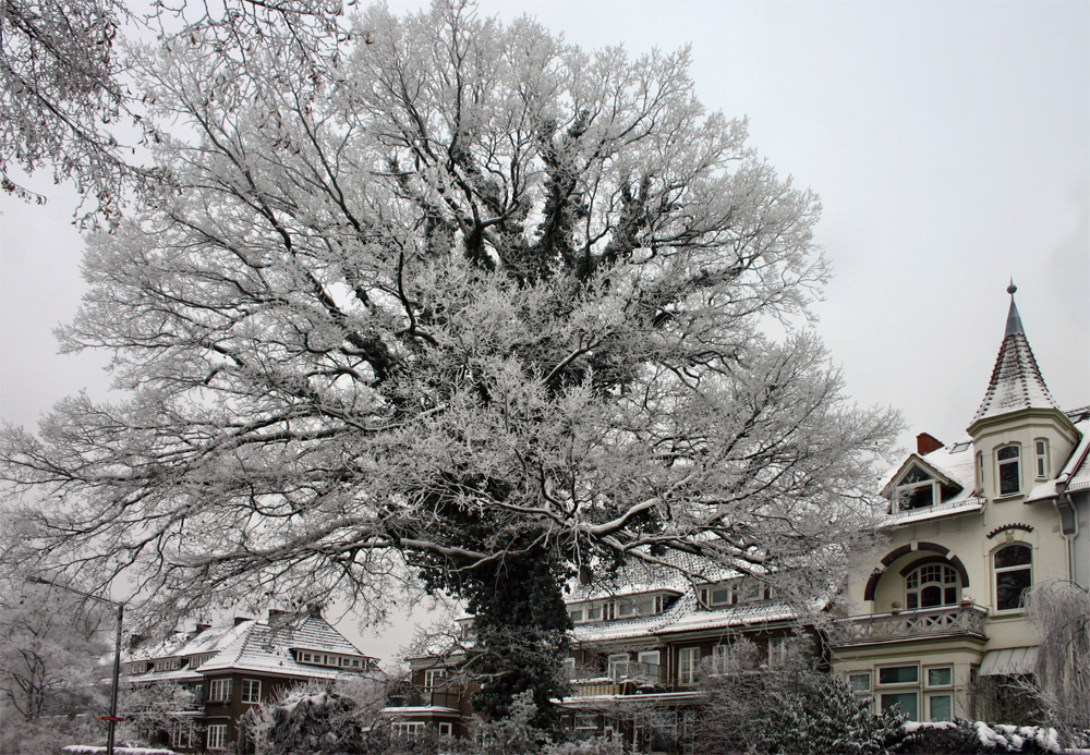 sie haben gemeinsam schon viele Winter gesehen