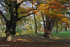 sie haben schon oft den Herbst erlebt