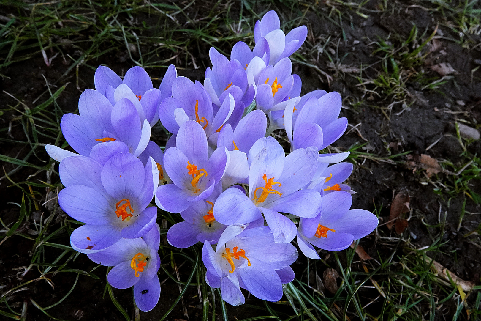 sie haben sich extra für den blauen Montag so zusammengestellt