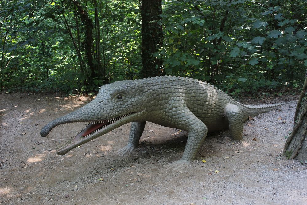 sie haben überlebt - die Krokodile der Urzeit