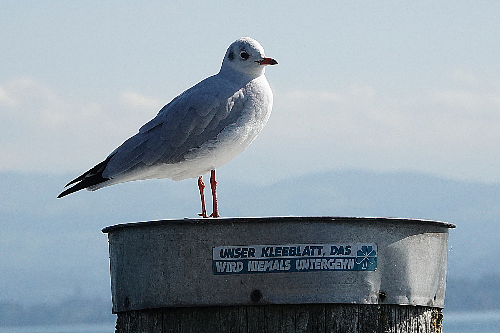 sie hält die Stellung