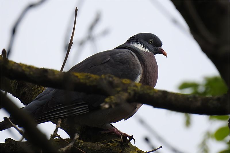 Sie hat alles im Blick