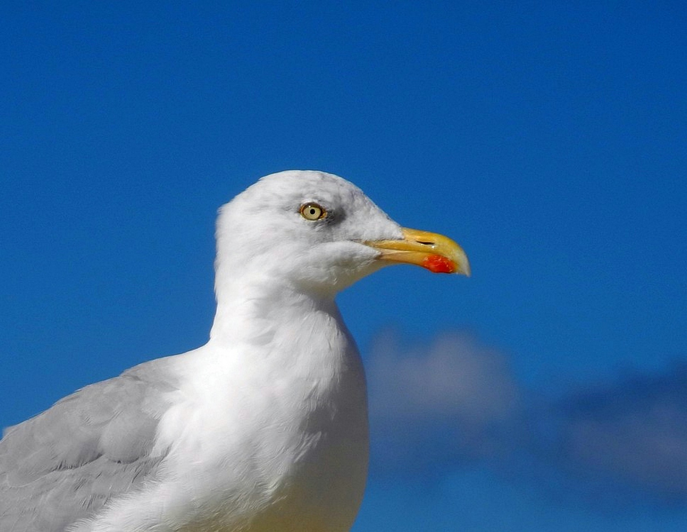 sie hat alles im Blick