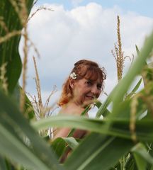 sie hat den Durchblick im Maisfeld