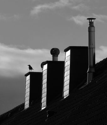 Sie hat einen weiten Blick über Dortmund..