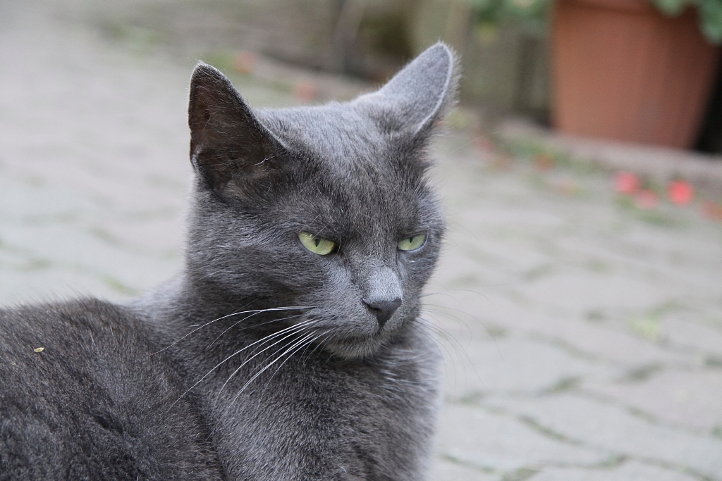 sie hat gerade den Wetterbericht gehört