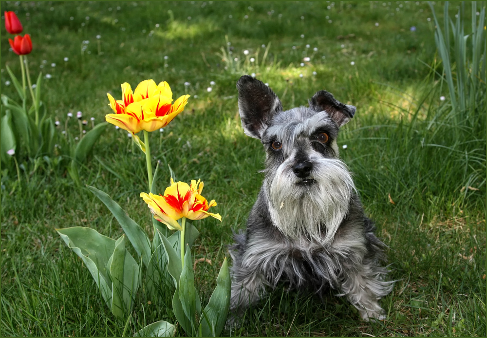 SIE HAT UNS NACH 14 JAHRE VERLASSEN!