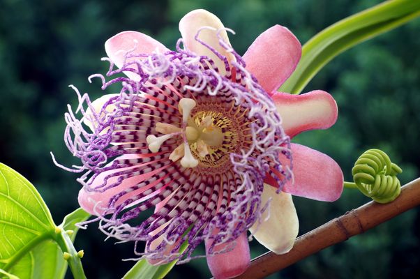 Sie hat´s geschafft...