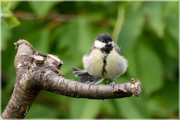 Sie hatte den Durchblick
