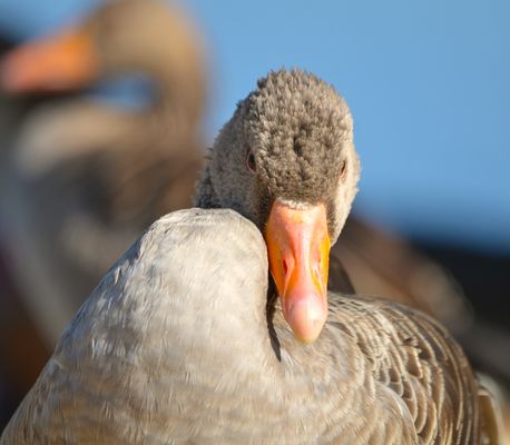 Sie hatte mich genau im Blick :0)