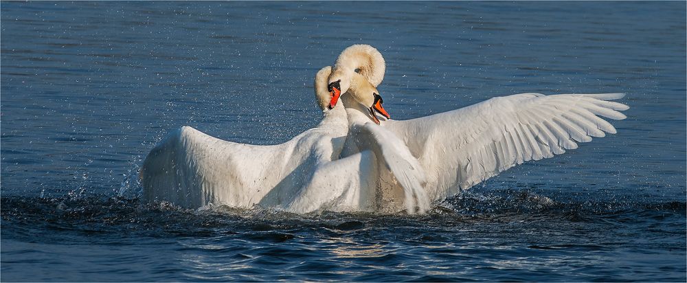 … Sie hatten einander so lieb? …