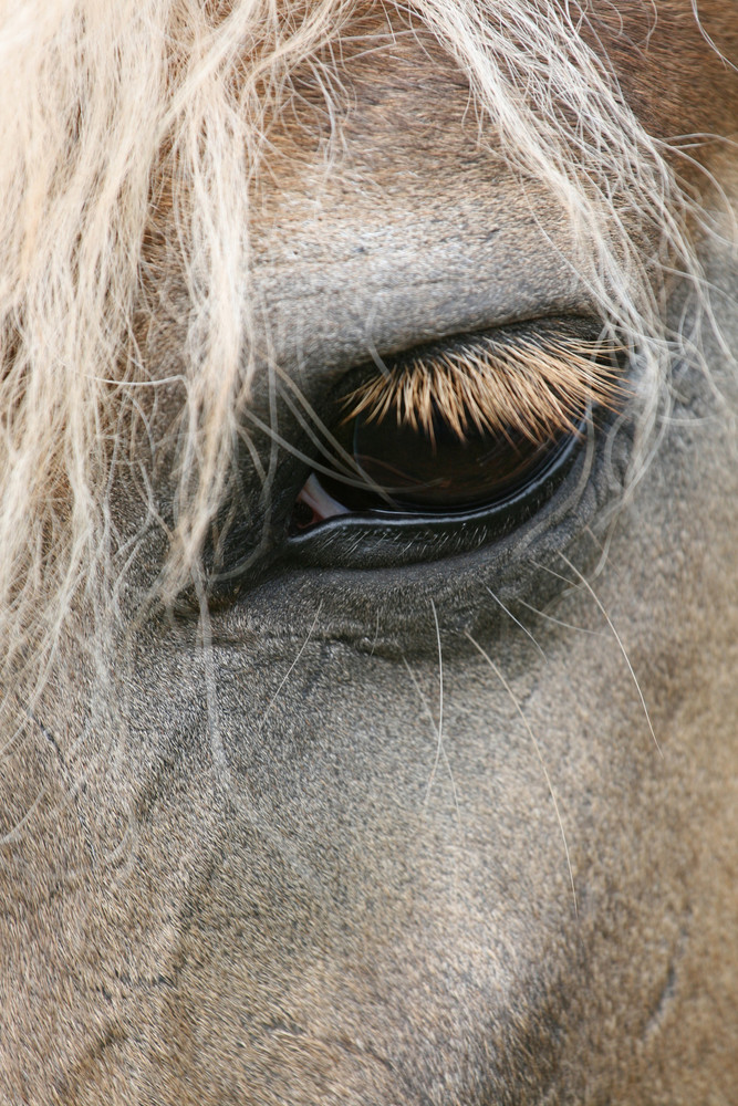 Sie ist "blond" und sie färbt auch keine Wimpern