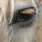 Sie ist "blond" und sie färbt auch keine Wimpern