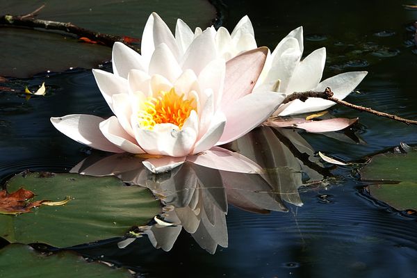 sie kann das Spiegeln nicht lassen