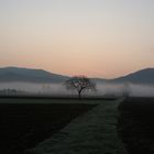 "sie kommen Nachts mit dem Nebel"