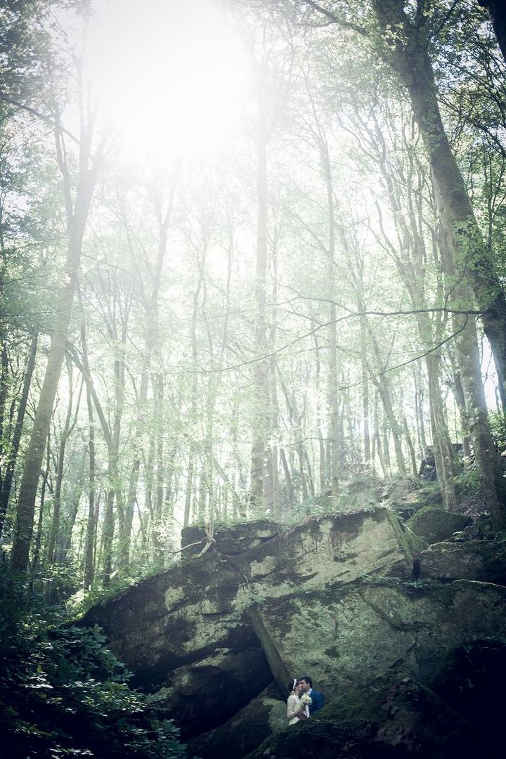 Sie küssten sich im Wald