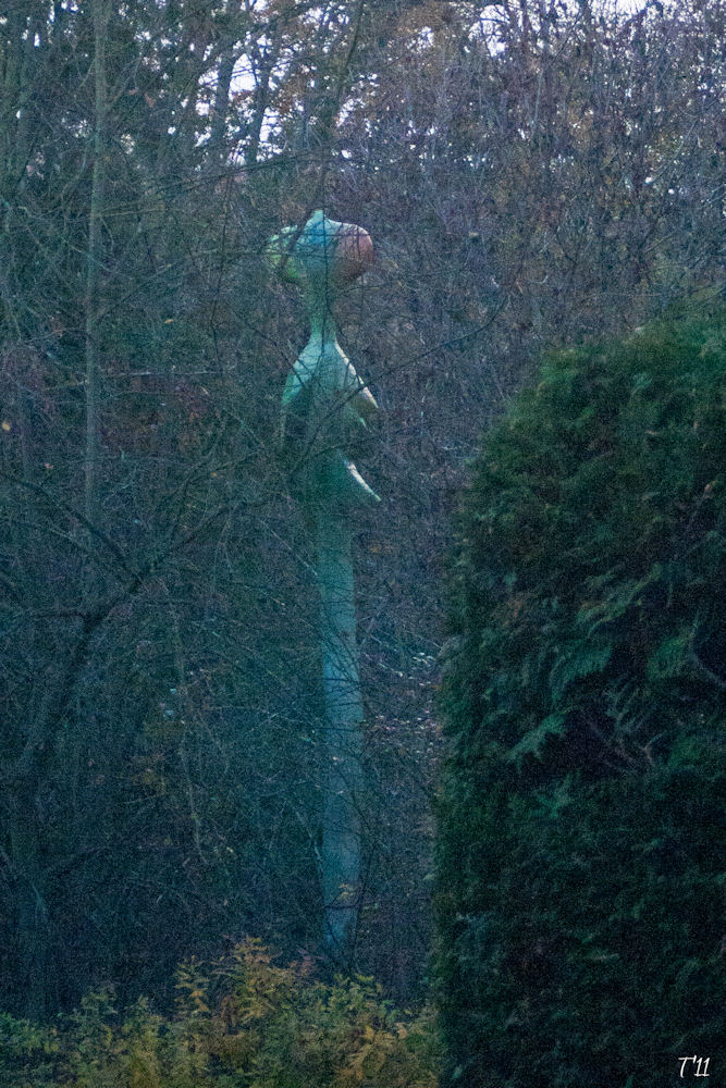 sie leben im Wald