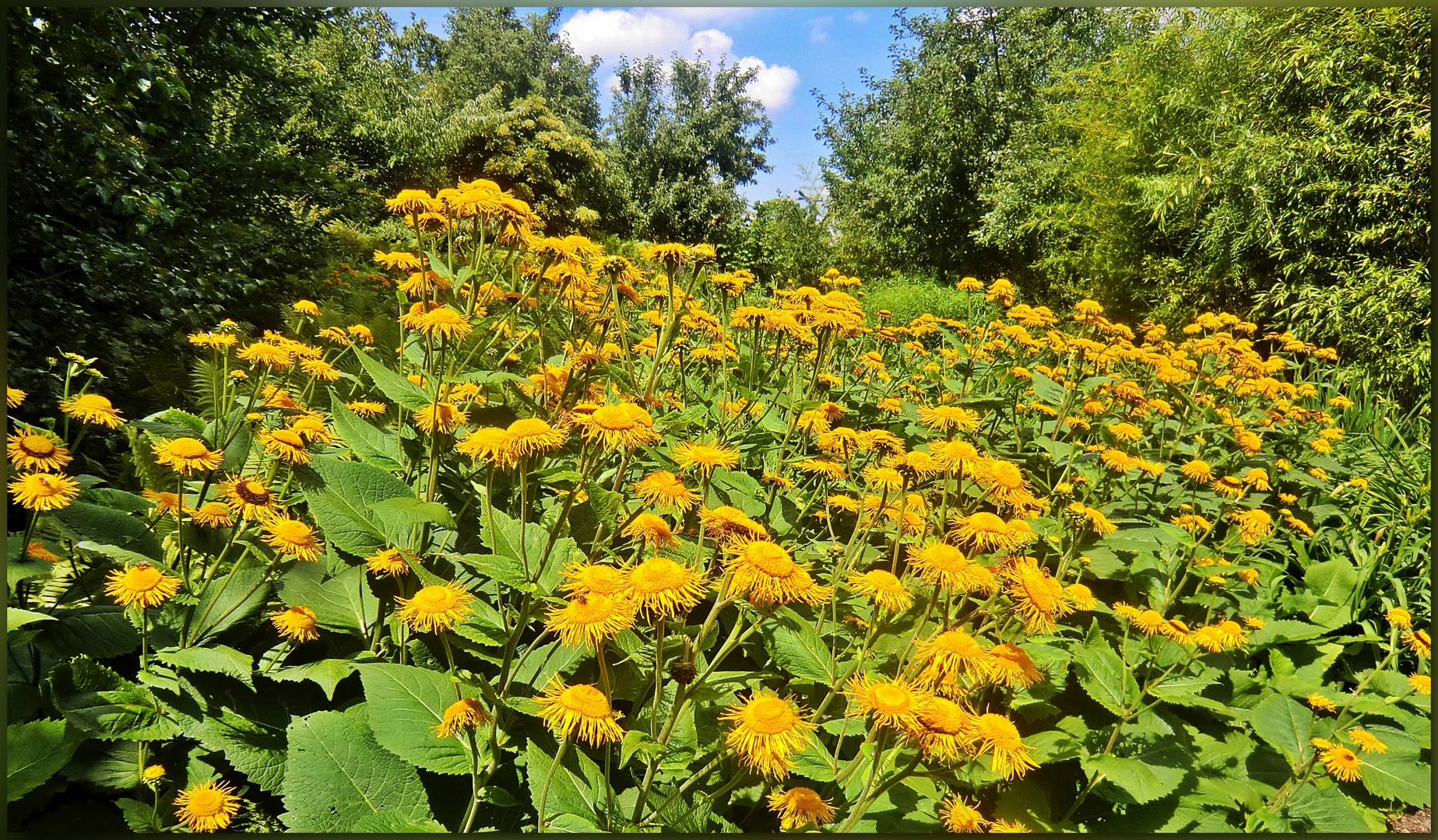 Sie leuchten im Südpark