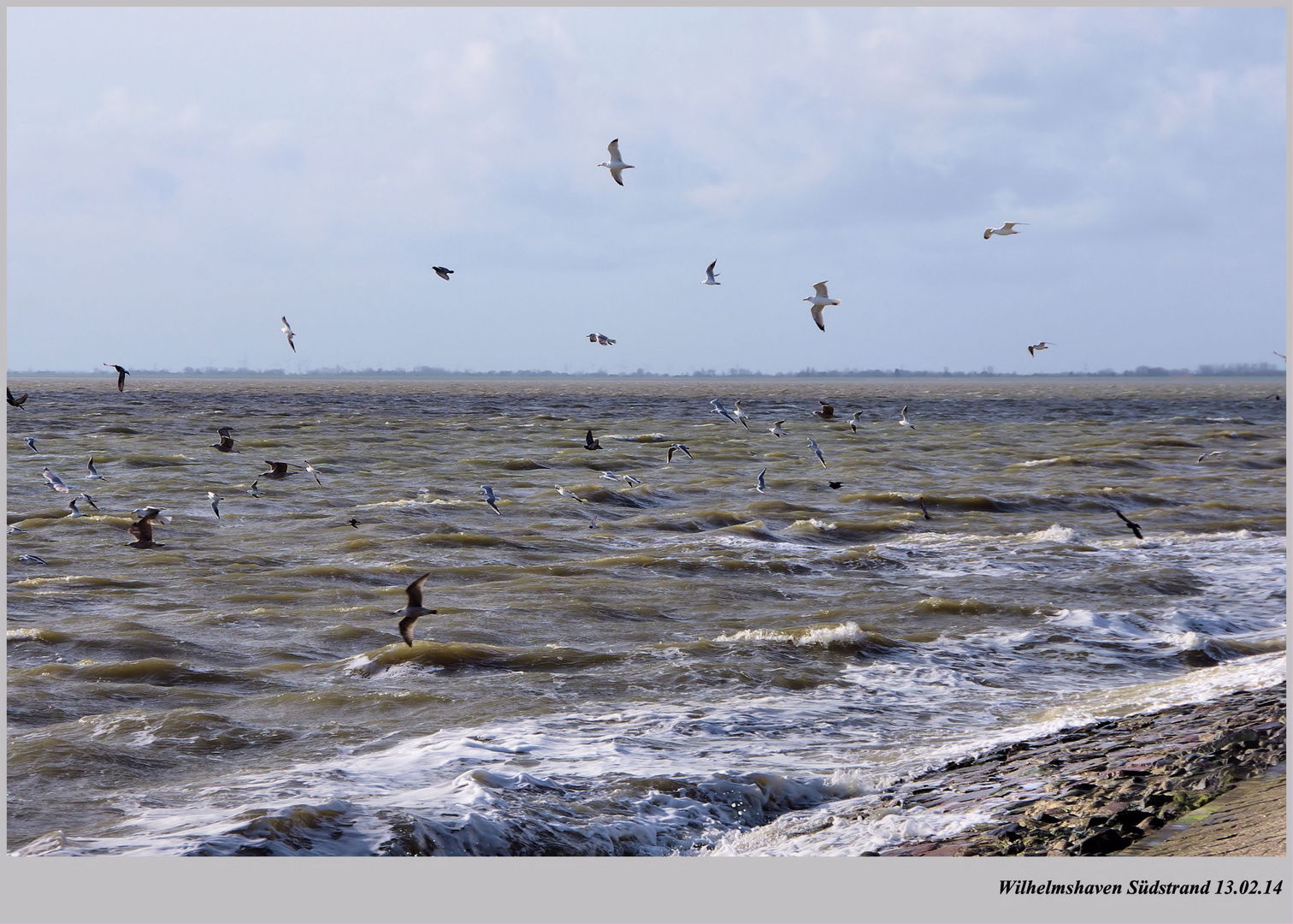 Sie lieben den rauen Wind