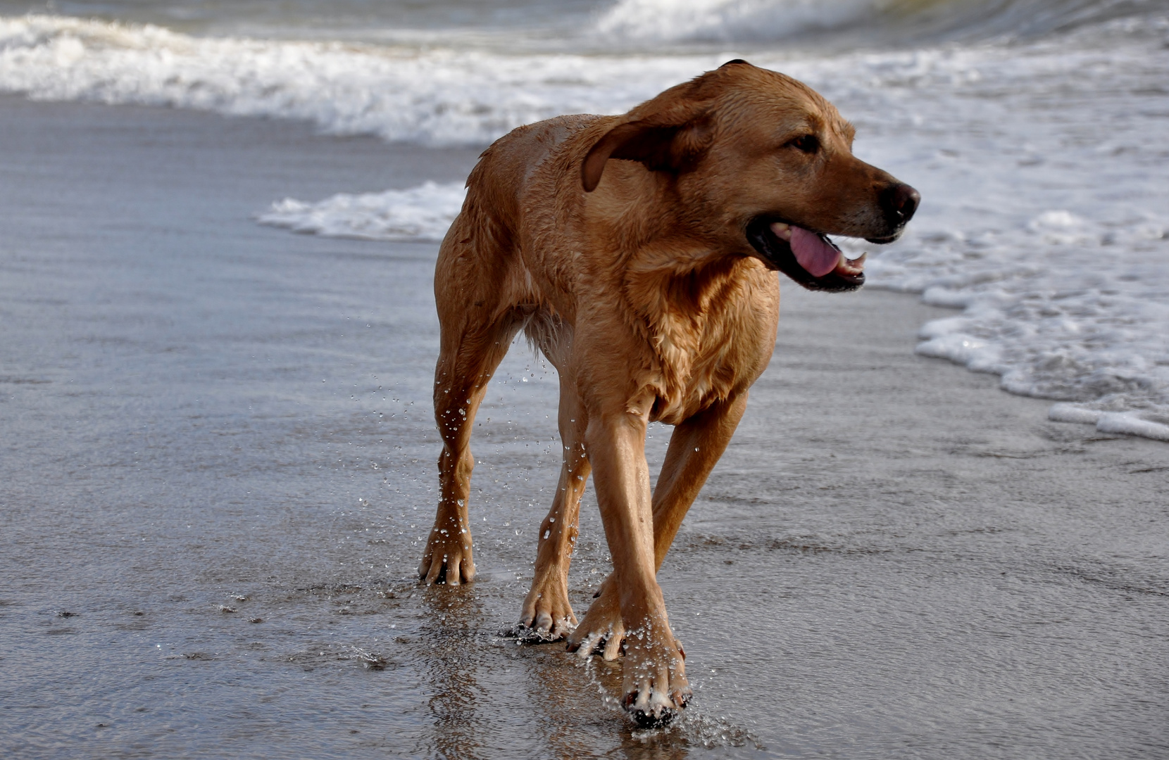 Sie liebt das Meer