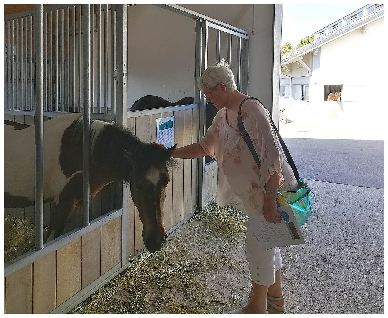 Sie liebt die Tiere, besonders auch Pferde