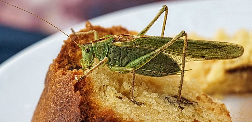 Sie ließ sich nicht stören......