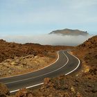 "Sie macht sich den Weg frei ..." [In größerer Höhenlagen (ca. 2500m), inmitten auf Teneriffa, 2006]