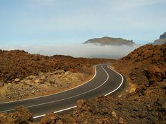 "Sie macht sich den Weg frei ..." [In größerer Höhenlagen (ca. 2500m), inmitten auf Teneriffa, 2006]