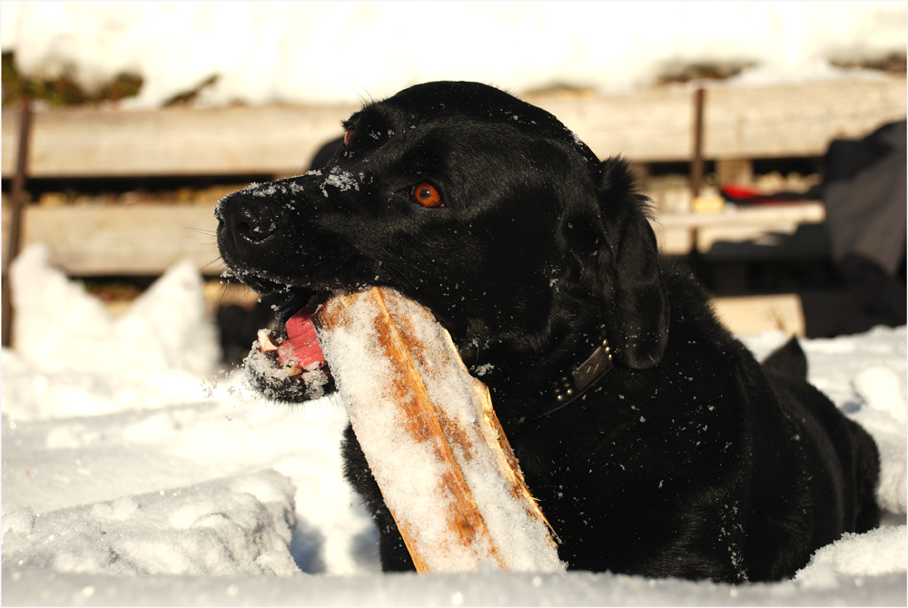 Sie mag den Schnee...