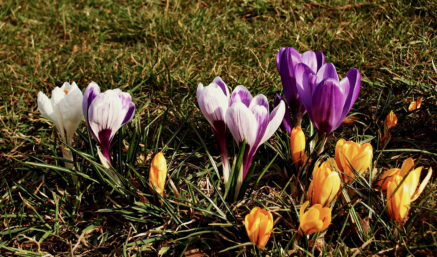 Sie möchten auch den meteorologischen Frühling begrüßen.