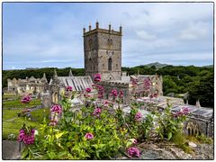 Sie pilgern immer noch nach St. Davids