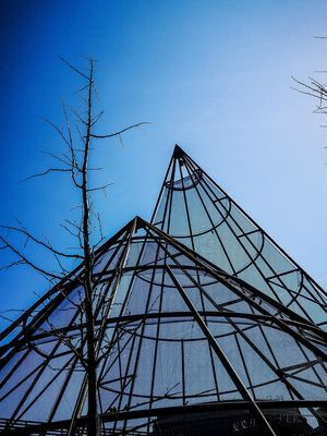 Sie sind der Meinung das sind Spitzen?