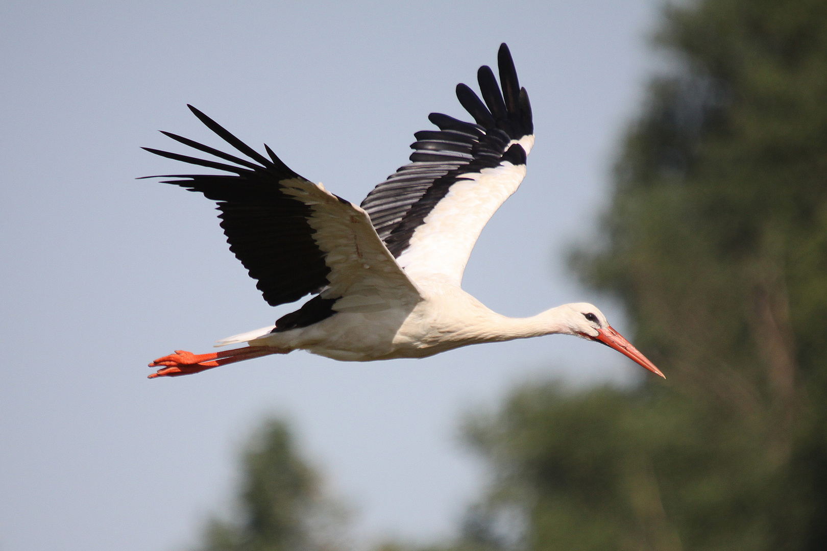 Sie sind im Anflug