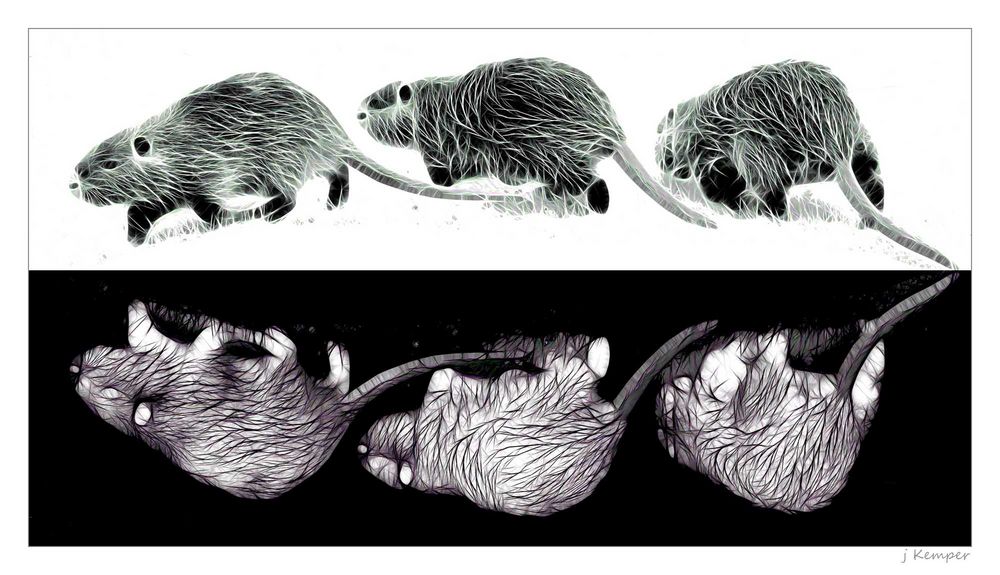 - sie sind unterwegs -