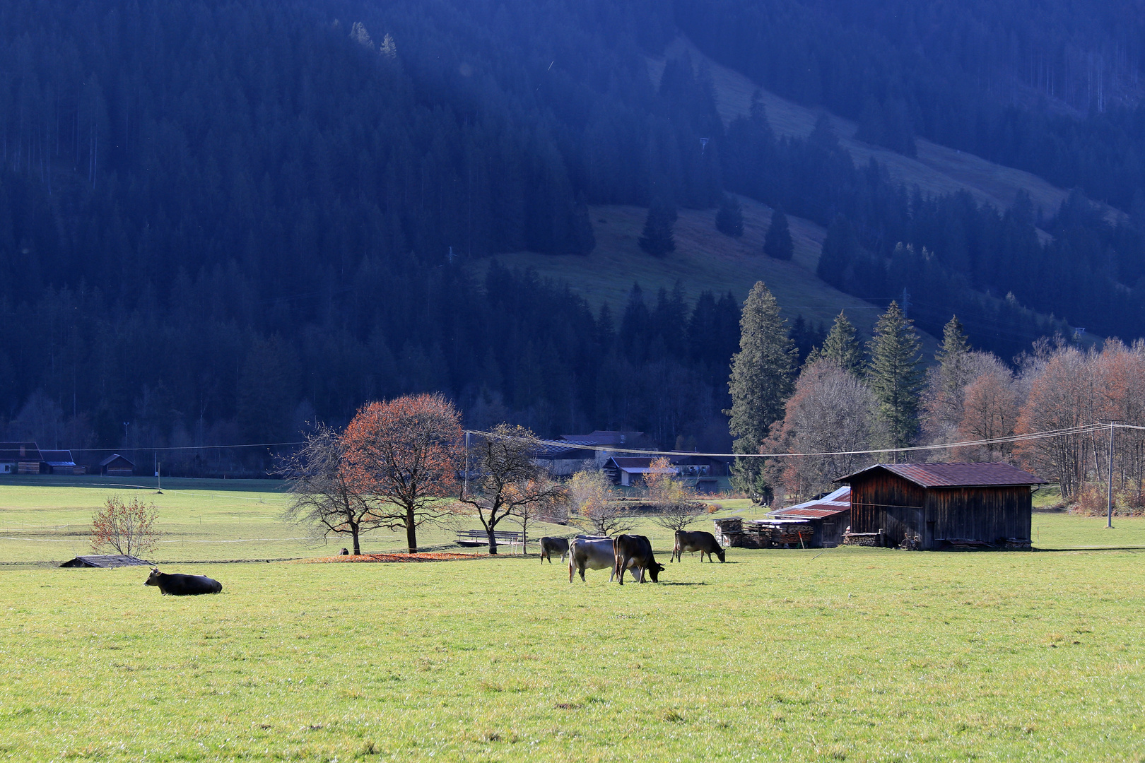 Sie sind wieder im Tal