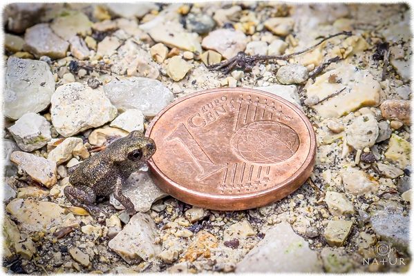 Sie sind wieder unterwegs ...