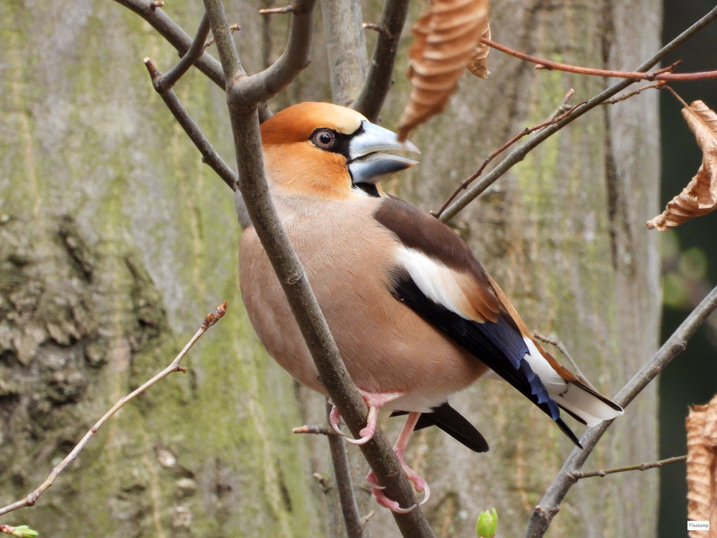 Sie singen im Moment .....