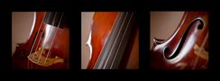 Sie spielte Cello von Jan Krützfeldt 