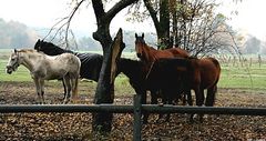 Sie stehen im Regen  .....