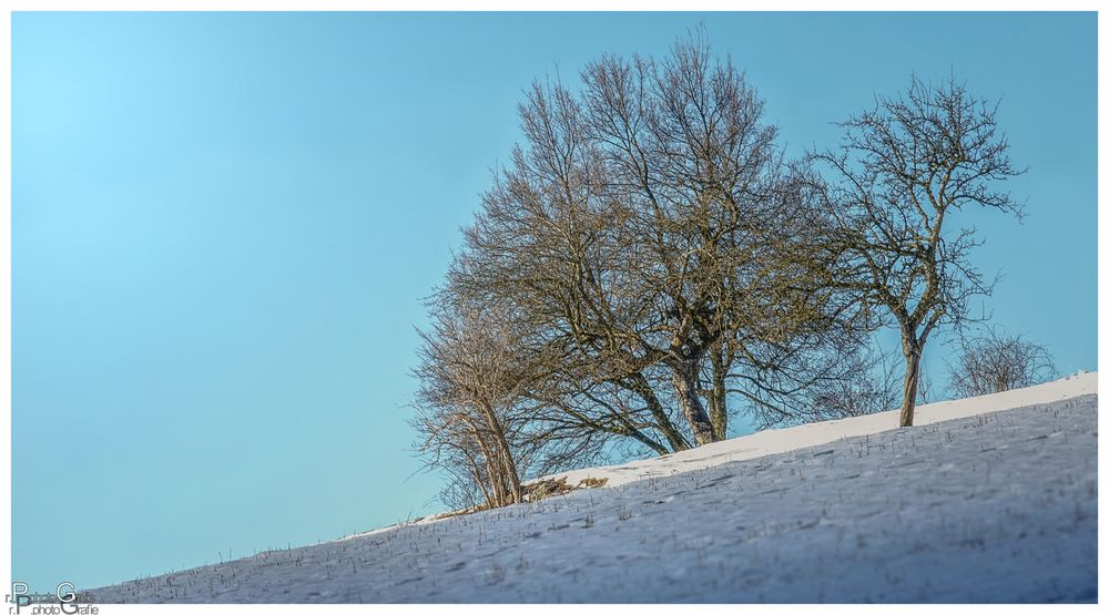 Sie stehen in der Morgensonne