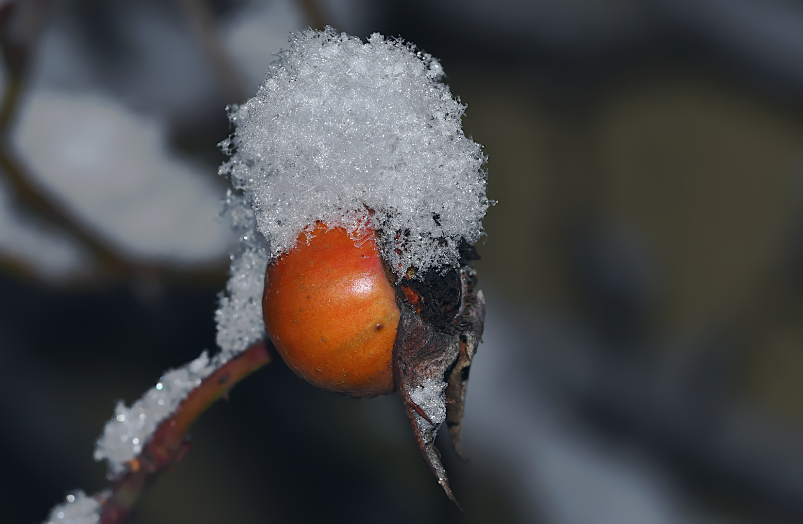 SIE TRÄGT MIT WÜRDE EIN WEISSES SCHNEEHÜTCHEN.