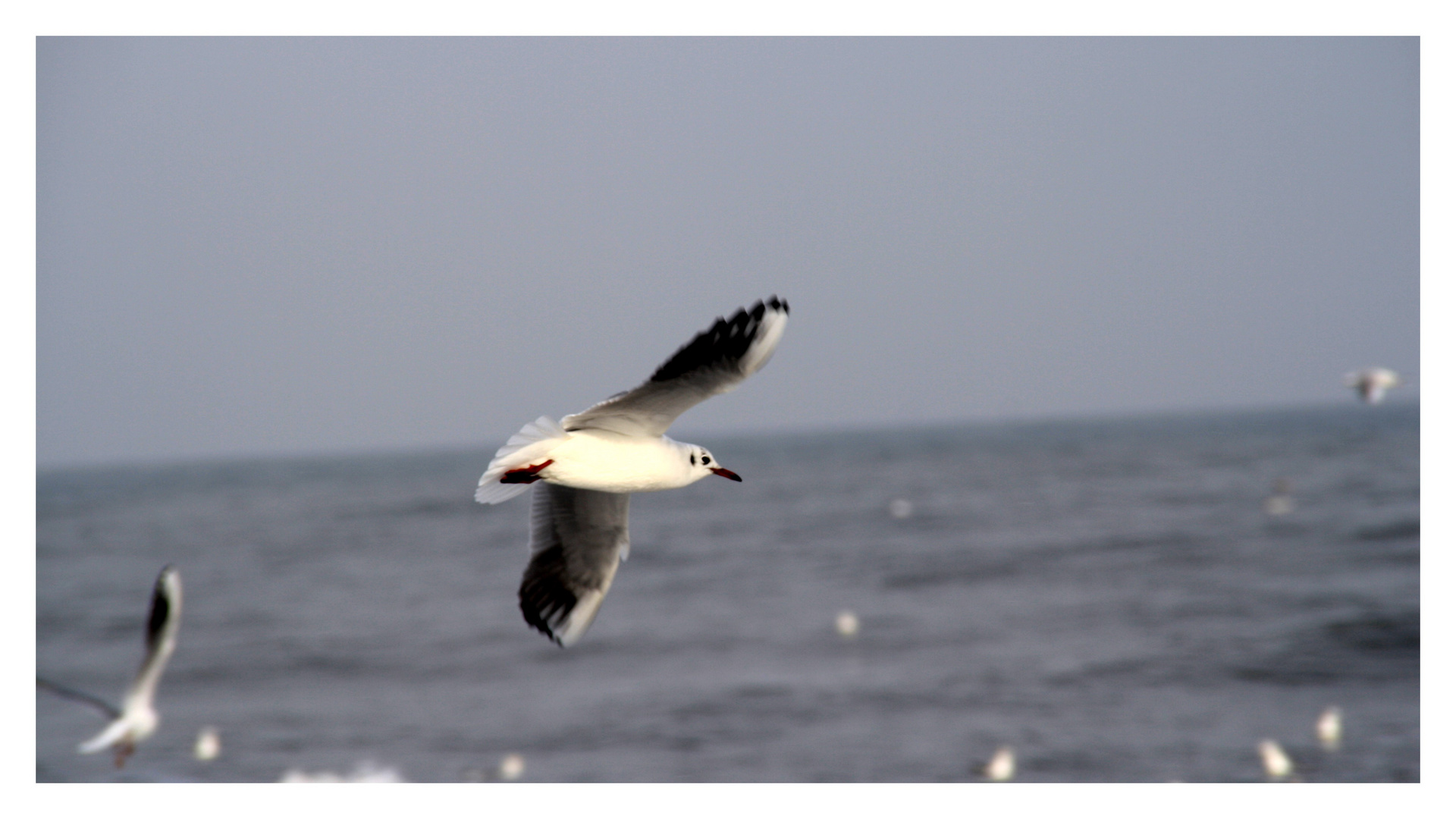 Sie trotzen Wind und Wetter